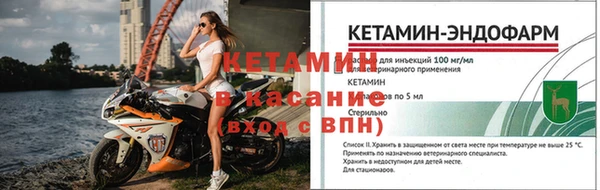эйфоретик Аркадак