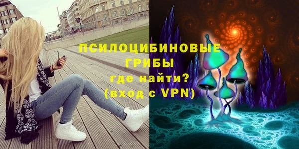 шишки Армянск
