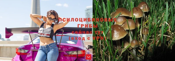 шишки Армянск