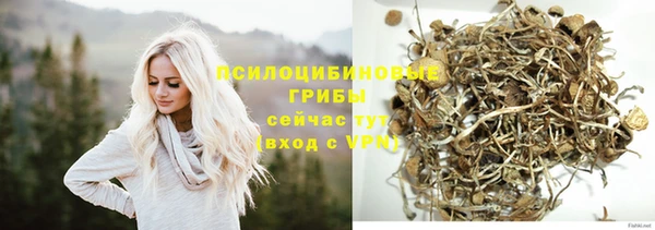 эйфоретик Аркадак
