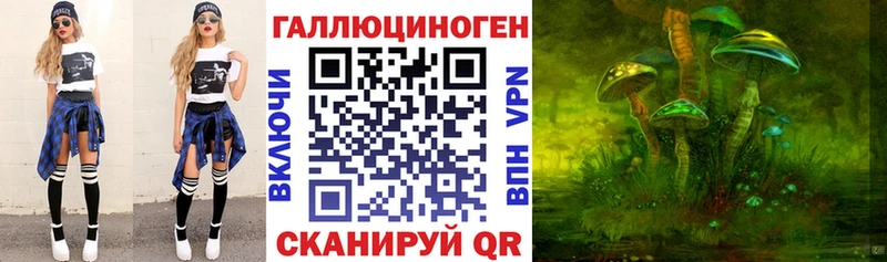 Галлюциногенные грибы Psilocybe  блэк спрут ссылки  Стрежевой 